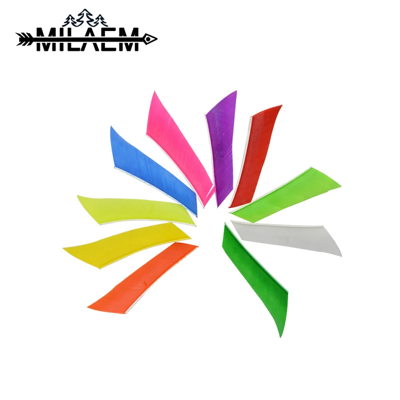 30 pcs 3inch Archery Arrow Feather Left Wings Real Natural Fletching Outdoor Hunting Recurve Compound Bow Arrows Accessories
30 pcs 3inch Archery Arrow Feather Left Wings Real Natural Fletching Outdoor Hunting Recurve Compound Bow Arrows Accessories