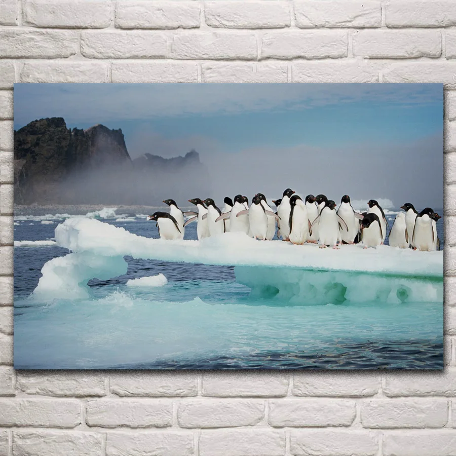 

Аделье, остров пингвинов, антаркта, животное, природный пейзаж, ткань, фотография, домашнее искусство, украшение для гостиной KM935