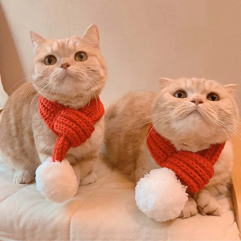 Christmas Knitting Warm Pets Cat/Dog Scarf Winter Ball Decor Cats Collar Small Medium Dogs Scarves Puppy Bow Tie Hair Accessorie
Christmas Knitting Warm Pets Cat/Dog Scarf Winter Ball Decor Cats Collar Small Medium Dogs Scarves Puppy Bow Tie Hair Accessorie