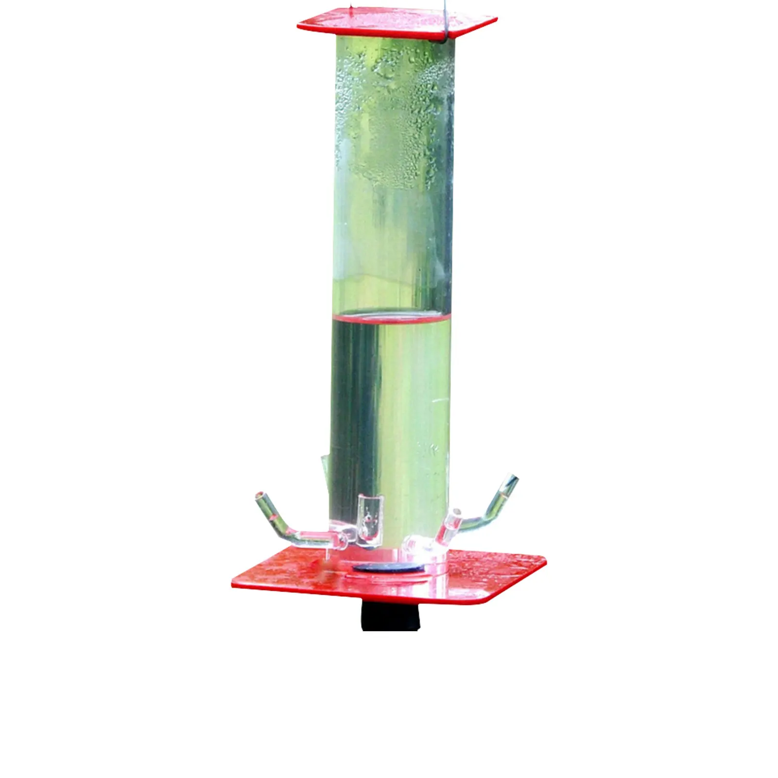 Hummingbird Feeder Suspended Long Tube Red Convenient Beautiful Birds Feeder _WK
Hummingbird Feeder Suspended Long Tube Red Convenient Beautiful Birds Feeder _WK