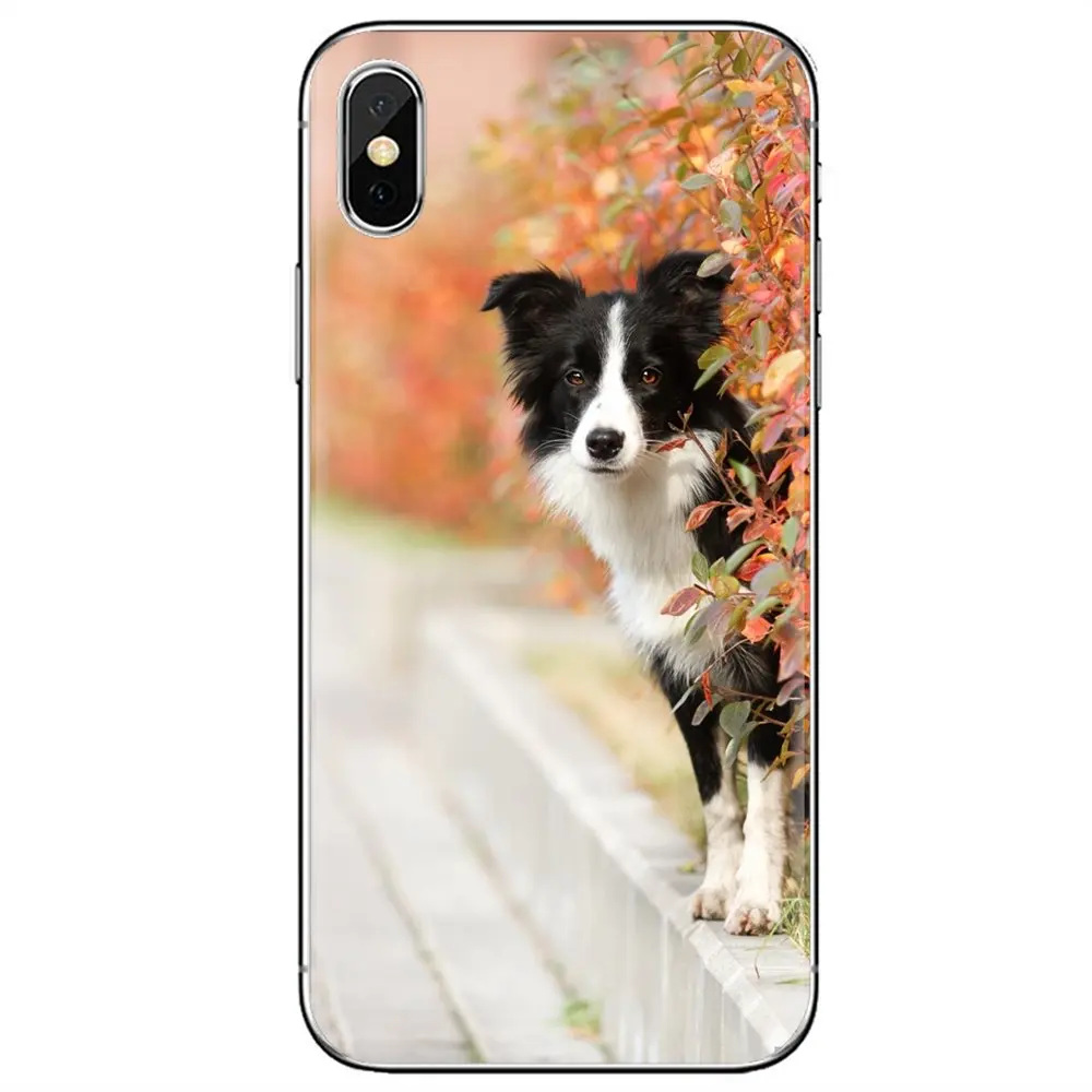 Силиконовый чехол для телефона Border Collie Dog Sony Xperia XA Z Z1 Z2 Z3 Z5 XZ1 XZ2 compact M2 M4 M5 C4 C6 E3 T3