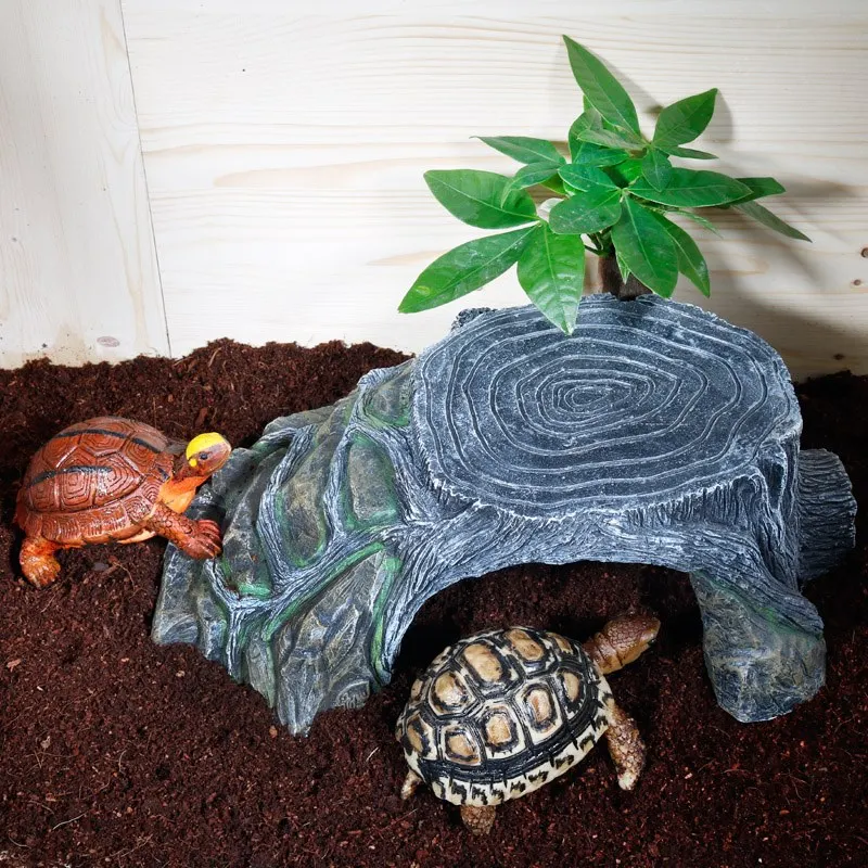 Tortoise Climbing Platform Sun Back Tank Floating Island Avoid Hole Stone
Tortoise Climbing Platform Sun Back Tank Floating Island Avoid Hole Stone
