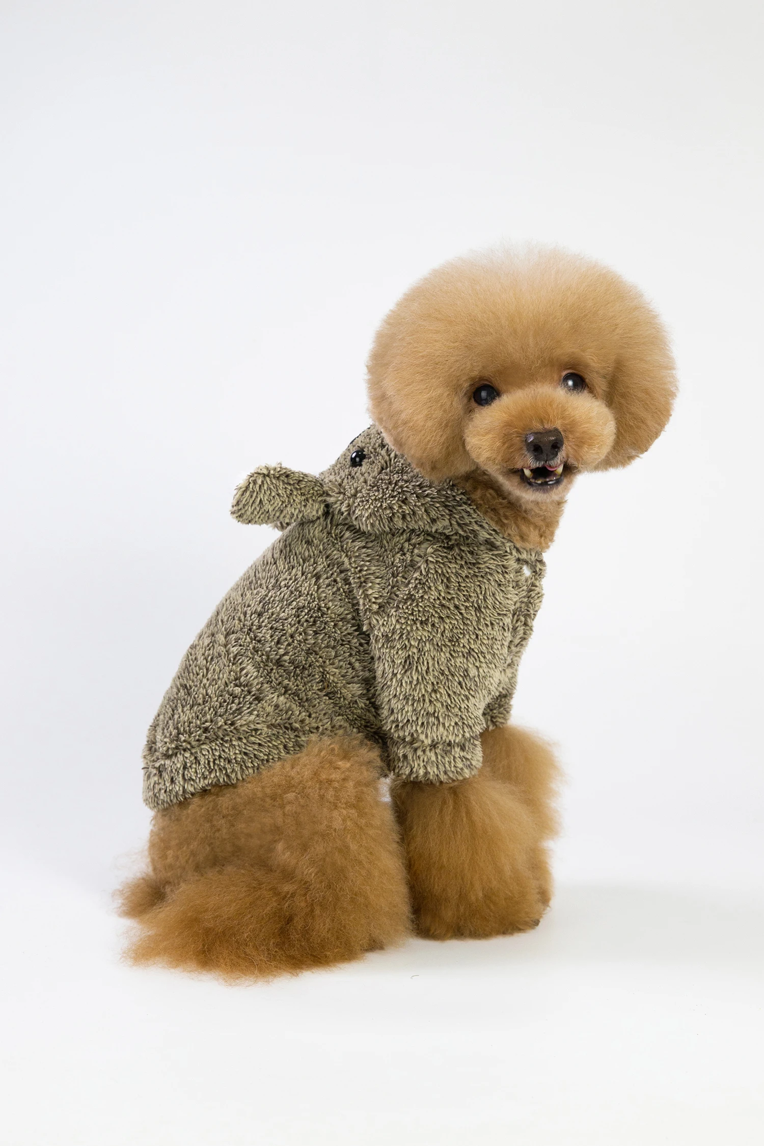 Autumn/winter new fashion Solid colorplant cotton fleece pure color coat and Cute warm hood Dog Clothing
Autumn/winter new fashion Solid colorplant cotton fleece pure color coat and Cute warm hood Dog Clothing