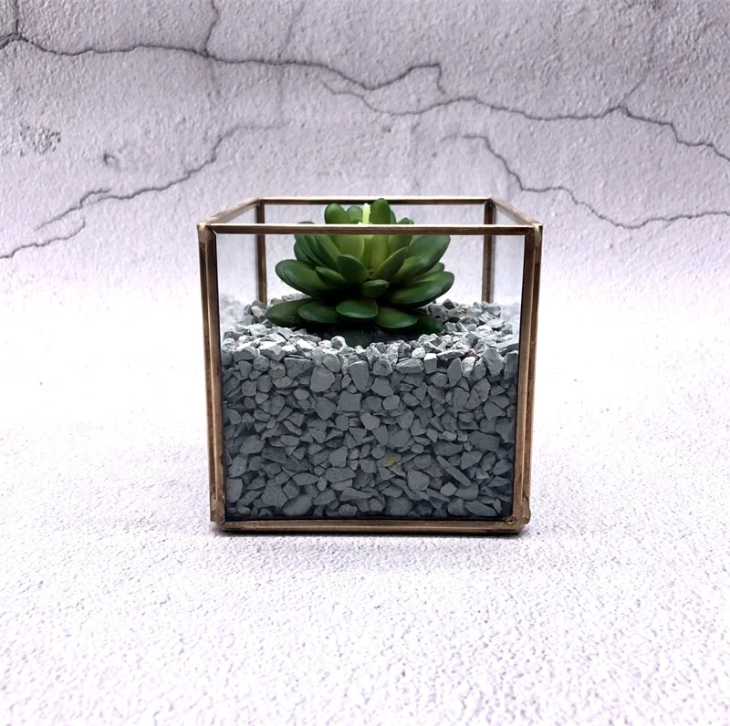 Nordic geometric transparent glass flower room eternal life Fleshy micro landscape green plant glass box home decoration
Nordic geometric transparent glass flower room eternal life Fleshy micro landscape green plant glass box home decoration