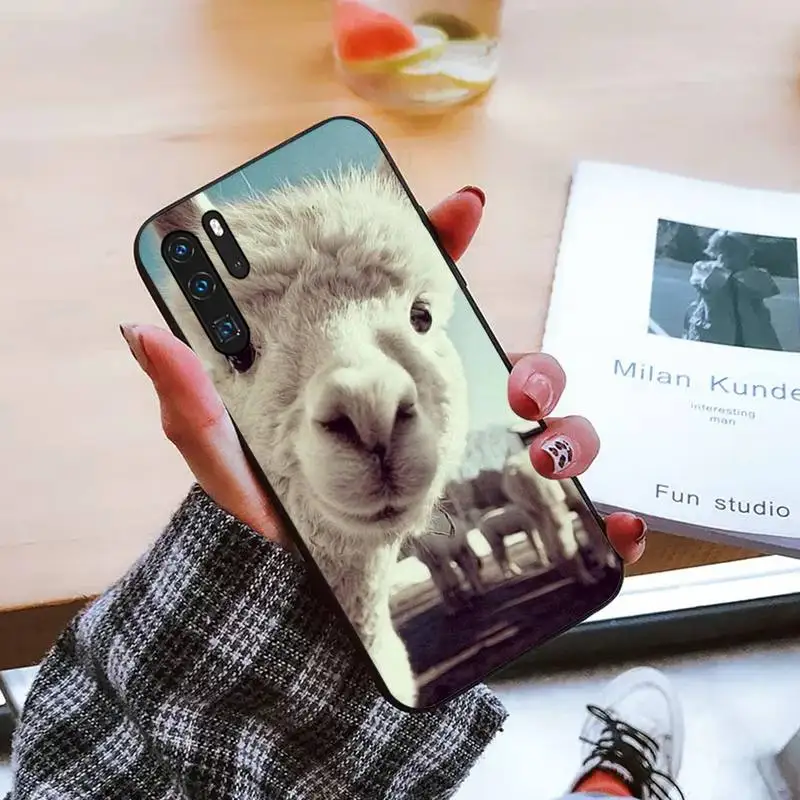Lama Llama Alpacas Animal Phone Case For Huawei honor Mate P 9 10 20 30 40 Pro 10i 7 8 a x Lite nova 5t
Lama Llama Alpacas Animal Phone Case For Huawei honor Mate P 9 10 20 30 40 Pro 10i 7 8 a x Lite nova 5t