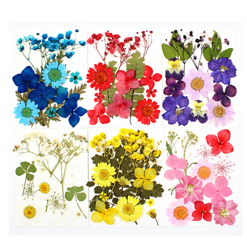 Convenient Decoration Diy Real Dried Flower Uv Epoxy Resin Mold Fillings Pendant Necklace Jewelry Making Craft Accessories
Convenient Decoration Diy Real Dried Flower Uv Epoxy Resin Mold Fillings Pendant Necklace Jewelry Making Craft Accessories