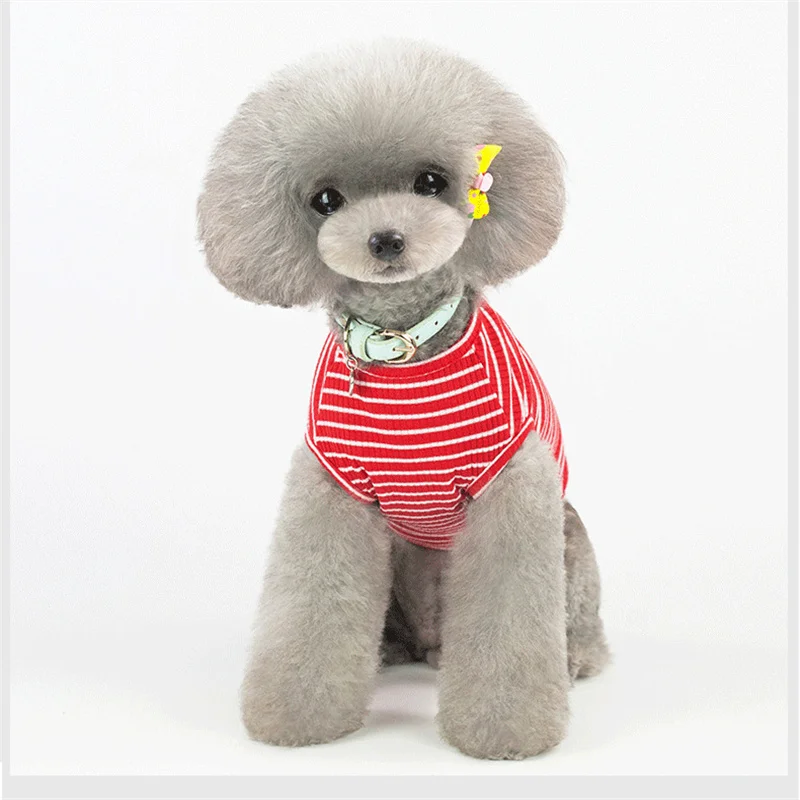 Dog Clothes Soft T-shirt Puppy Breathable Dog Clothes For Small Medium Dogs Pet Dogs Cat Vest T-shirt Dogs Clothing Costumes
Dog Clothes Soft T-shirt Puppy Breathable Dog Clothes For Small Medium Dogs Pet Dogs Cat Vest T-shirt Dogs Clothing Costumes