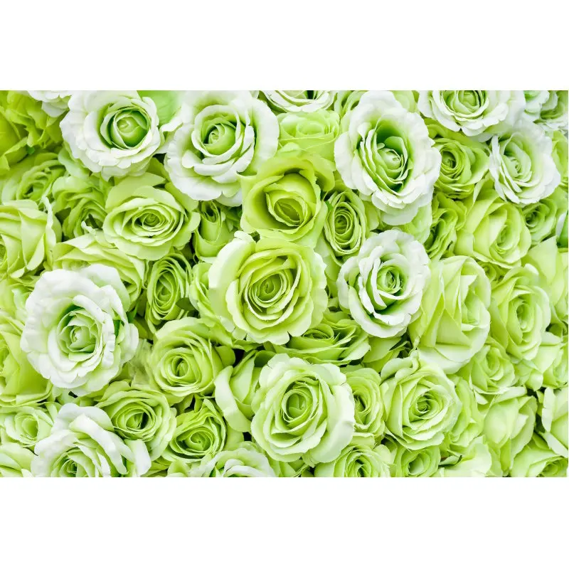 Green Rose Flower Backdrop Wedding Newborn Baby Bridal Photography Backgrounds Photo Booth Studio Prop
Green Rose Flower Backdrop Wedding Newborn Baby Bridal Photography Backgrounds Photo Booth Studio Prop