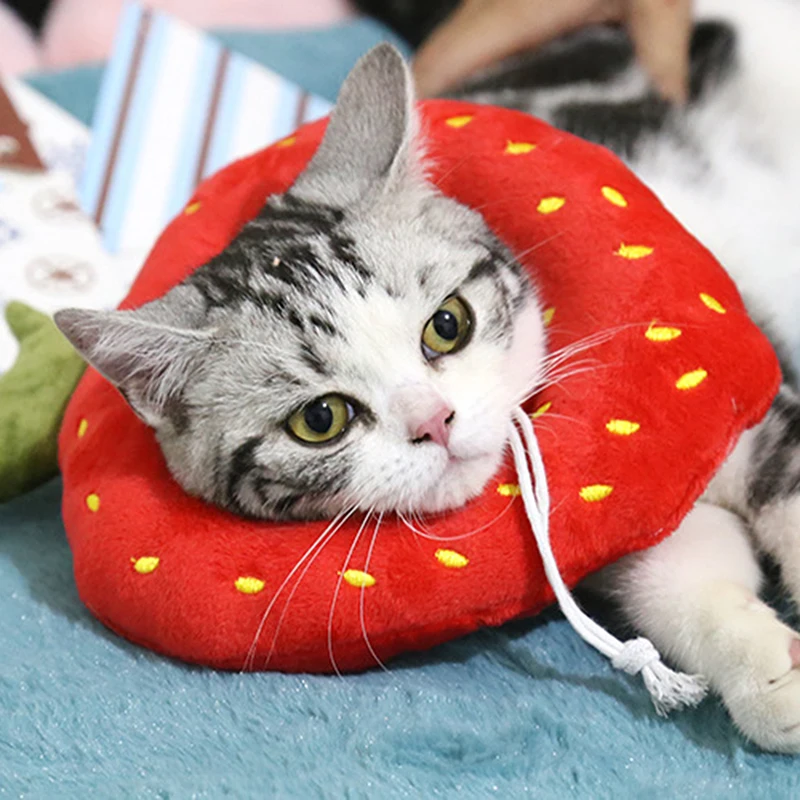 Pet Cat Dog Elizabeth Circle Collar Avocado Shaped Cotton Adjustable Dogs Protective Neck Collar Cone Recovery Wound Collar
Pet Cat Dog Elizabeth Circle Collar Avocado Shaped Cotton Adjustable Dogs Protective Neck Collar Cone Recovery Wound Collar