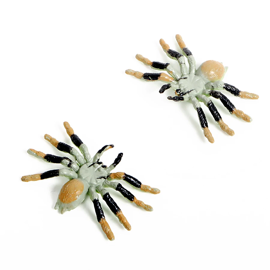 12pcs Simulation Spiders insect Model Spider Figurines miniature garden decoration accessories modern Halloween Party Toys
12pcs Simulation Spiders insect Model Spider Figurines miniature garden decoration accessories modern Halloween Party Toys