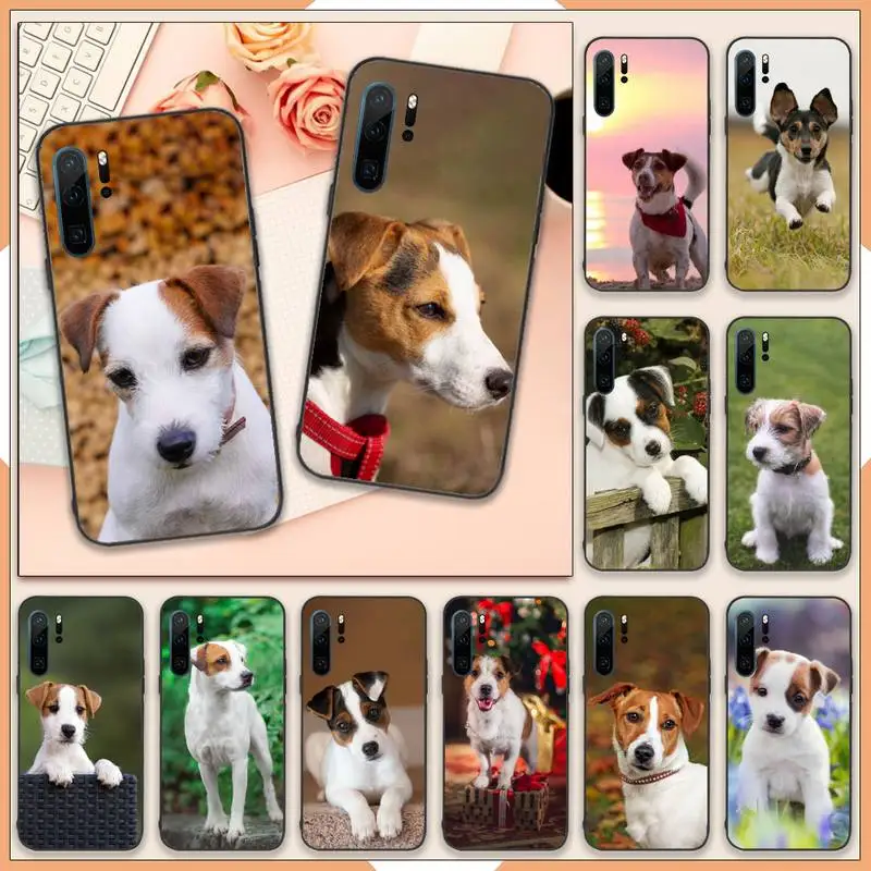 Jack Russell Terrier Cute animal dog Phone Case For Huawei honor Mate 10 20 30 40 i 9 8 pro x Lite P smart 2019 Y5 2018 nova 5t
Jack Russell Terrier Cute animal dog Phone Case For Huawei honor Mate 10 20 30 40 i 9 8 pro x Lite P smart 2019 Y5 2018 nova 5t
