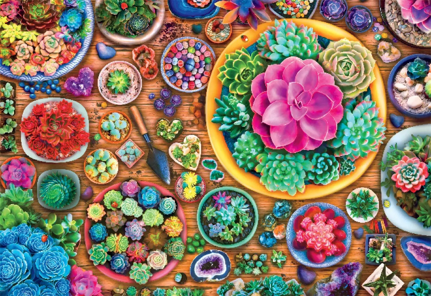 Succulent Season - 1000 Piece Jigsaw Puzzle Puzzles for Adults Kids Toys Educational Educational Toys Puzzles for Kids
Succulent Season - 1000 Piece Jigsaw Puzzle Puzzles for Adults Kids Toys Educational Educational Toys Puzzles for Kids