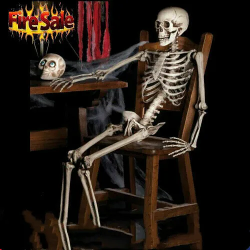 Halloween Poseable Life Size Skeleton Party Prop Decor Human Anatomy Model Home Decoration
Halloween Poseable Life Size Skeleton Party Prop Decor Human Anatomy Model Home Decoration