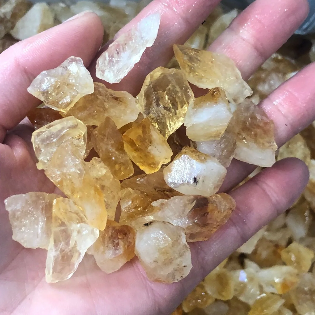 1.5-3cm 10Pcs Practical Citrine Stone Yellow Quartz Crystal Rough Points Bulk Gemstone Healing Mineral DIY Material D3
1.5-3cm 10Pcs Practical Citrine Stone Yellow Quartz Crystal Rough Points Bulk Gemstone Healing Mineral DIY Material D3