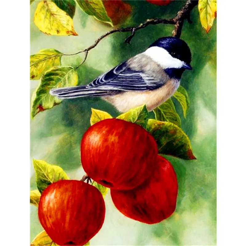 5D Diamond Art Painting Kits Animal Bird Diamond Embroidery Sale Fruit Apple Pictures of Rhinestones Mosaic Home Decor
5D Diamond Art Painting Kits Animal Bird Diamond Embroidery Sale Fruit Apple Pictures of Rhinestones Mosaic Home Decor