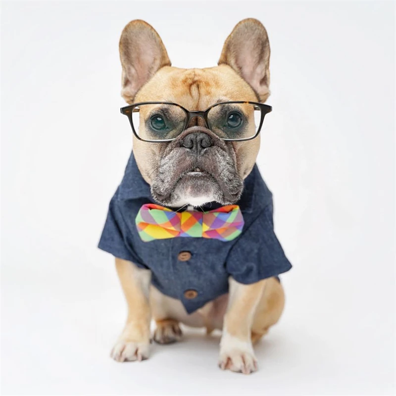 Fashion Dog Concave Shape Cool Handsome Serious Cowboy Coat Puppy Kitten Cute Pet Two-Legged Clothing
Fashion Dog Concave Shape Cool Handsome Serious Cowboy Coat Puppy Kitten Cute Pet Two-Legged Clothing