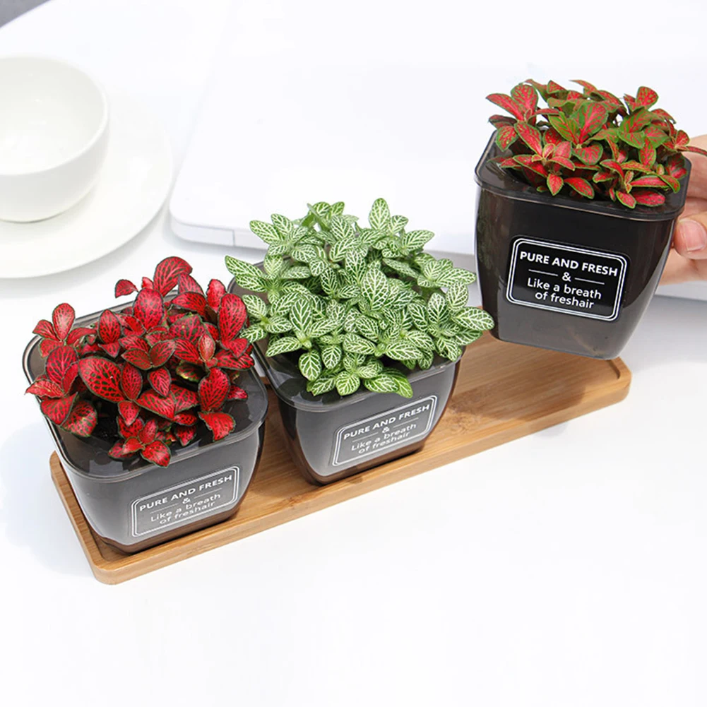 Durable Plastic Flowerpot Mold Cement Pot DIY Succulent Making Mold Manual Clay Craft Mini Pot Planter Set For Succulents Herbs
Durable Plastic Flowerpot Mold Cement Pot DIY Succulent Making Mold Manual Clay Craft Mini Pot Planter Set For Succulents Herbs