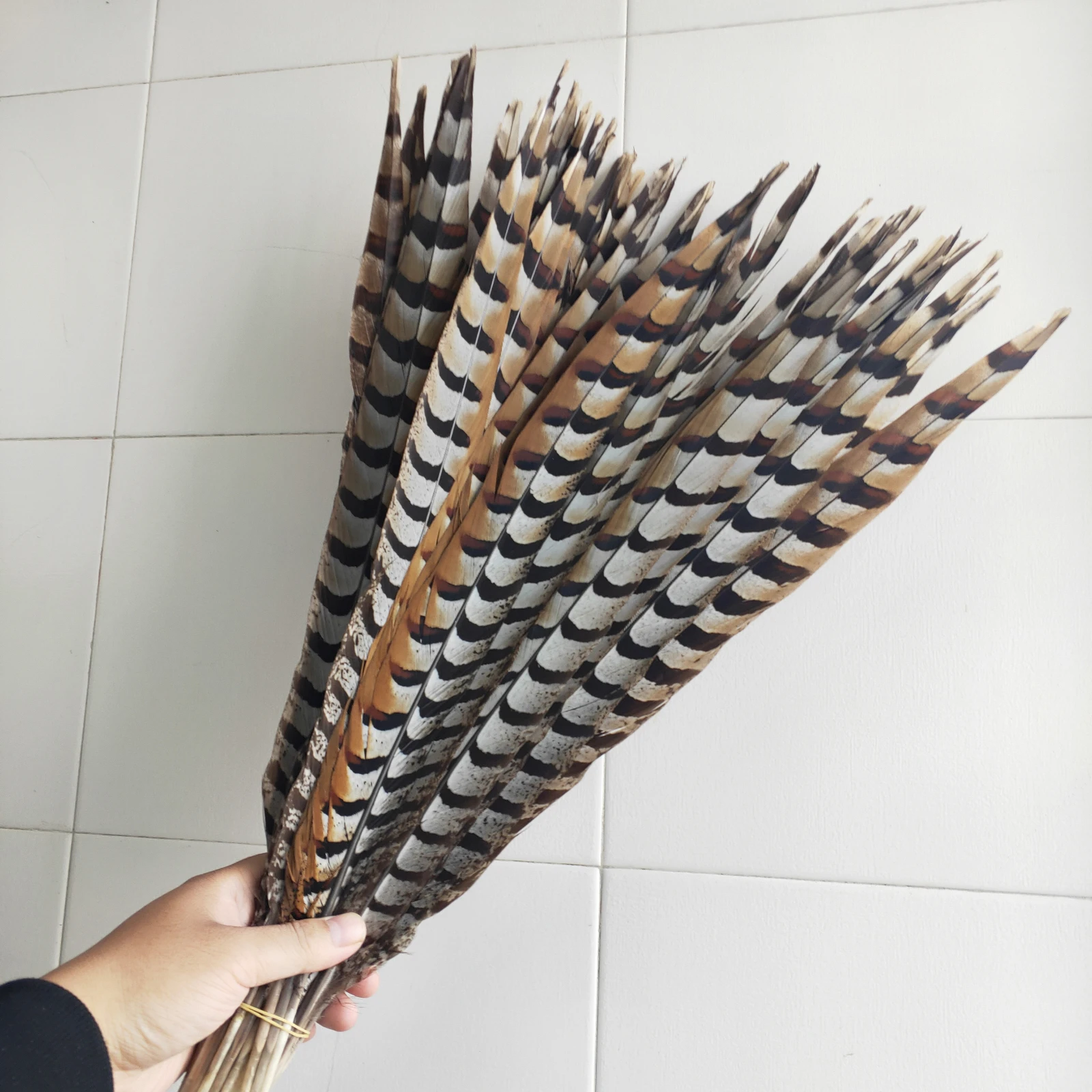 50pcs/lot Natural Lady Amherst Pheasant tail Feathers 60-65CM/24-26 Inch Christmas Celebration Diy DIY Feathers For Crafts
50pcs/lot Natural Lady Amherst Pheasant tail Feathers 60-65CM/24-26 Inch Christmas Celebration Diy DIY Feathers For Crafts