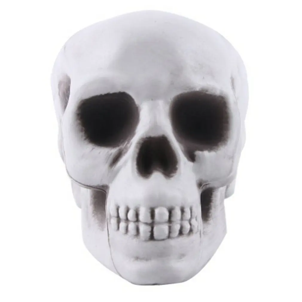 Synthetic Resin Skull-shaped Decoration Ornaments Multi-functional Creative Props Medical Mold Framework
Synthetic Resin Skull-shaped Decoration Ornaments Multi-functional Creative Props Medical Mold Framework