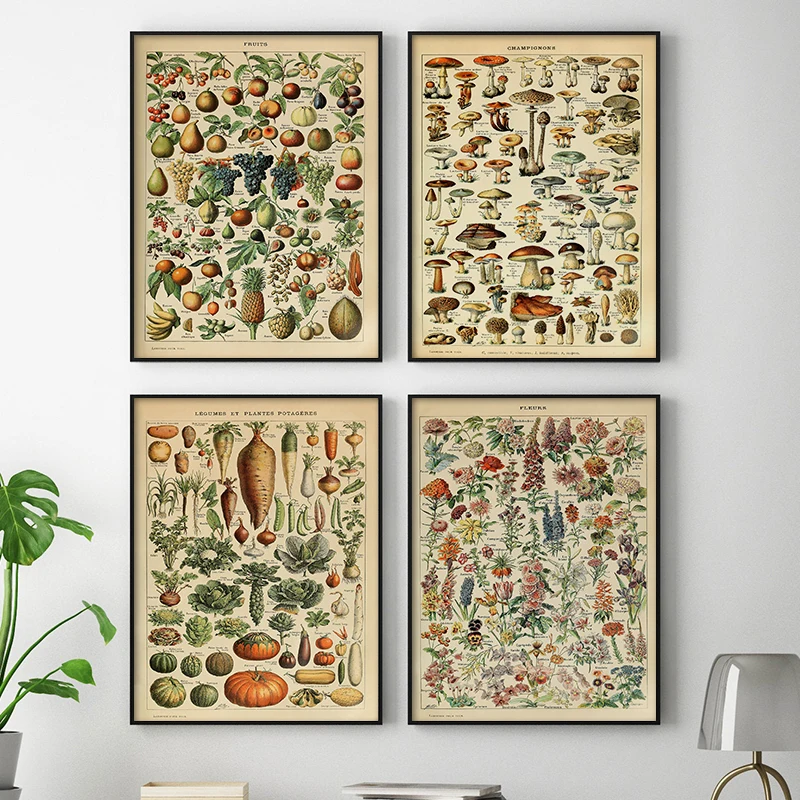 Vintage Canvas Wall Painting Vegetables Fruits Mushroom Flowers Art Poster Living Room Home Wall Decoration
Vintage Canvas Wall Painting Vegetables Fruits Mushroom Flowers Art Poster Living Room Home Wall Decoration