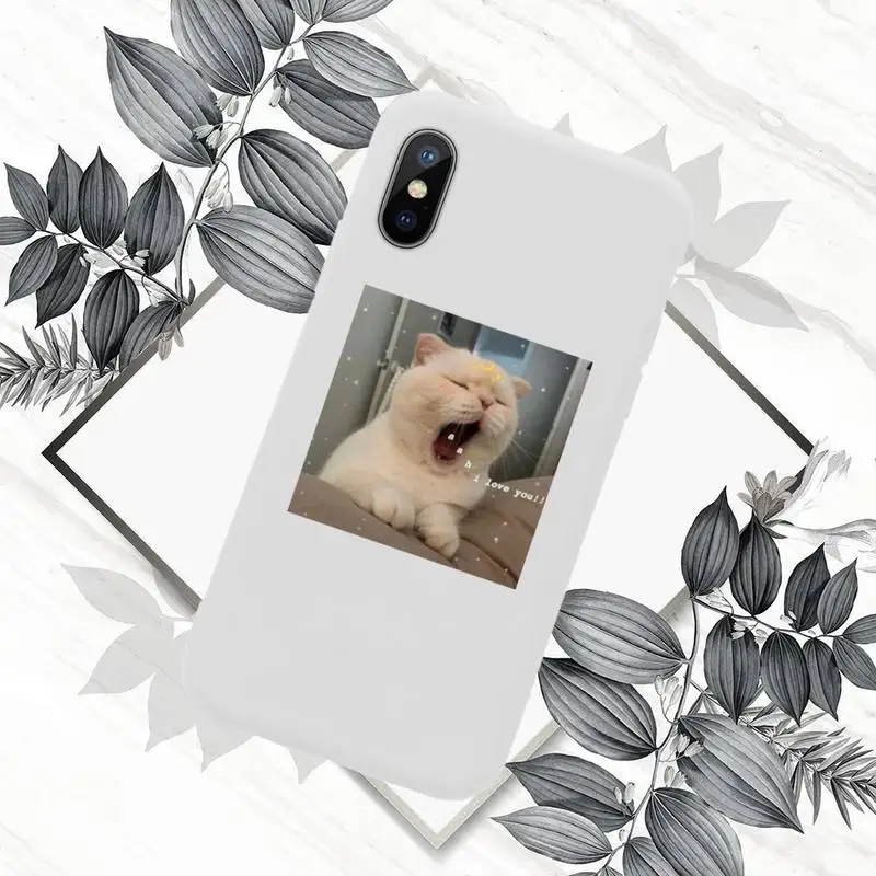 Cute animal cat art design Phone Case Candy Color for iPhone 6 7 8 11 12 s mini pro X XS XR MAX Plus
Cute animal cat art design Phone Case Candy Color for iPhone 6 7 8 11 12 s mini pro X XS XR MAX Plus