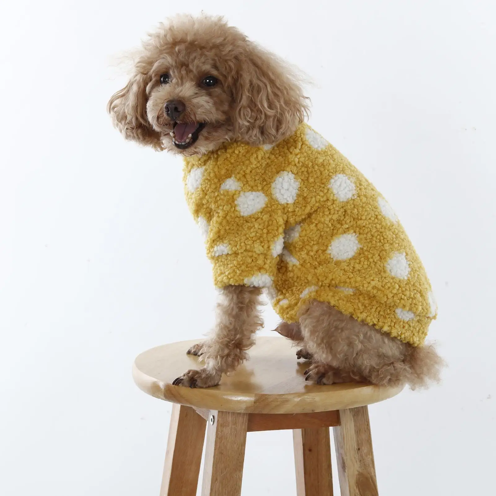 Hoodie for Small Dogs Winter Warm Jacket Puppy Sweatshirt Velvet Dotted Pattern Two-legged Dog Clothes Button Closure Pet Coat
Hoodie for Small Dogs Winter Warm Jacket Puppy Sweatshirt Velvet Dotted Pattern Two-legged Dog Clothes Button Closure Pet Coat