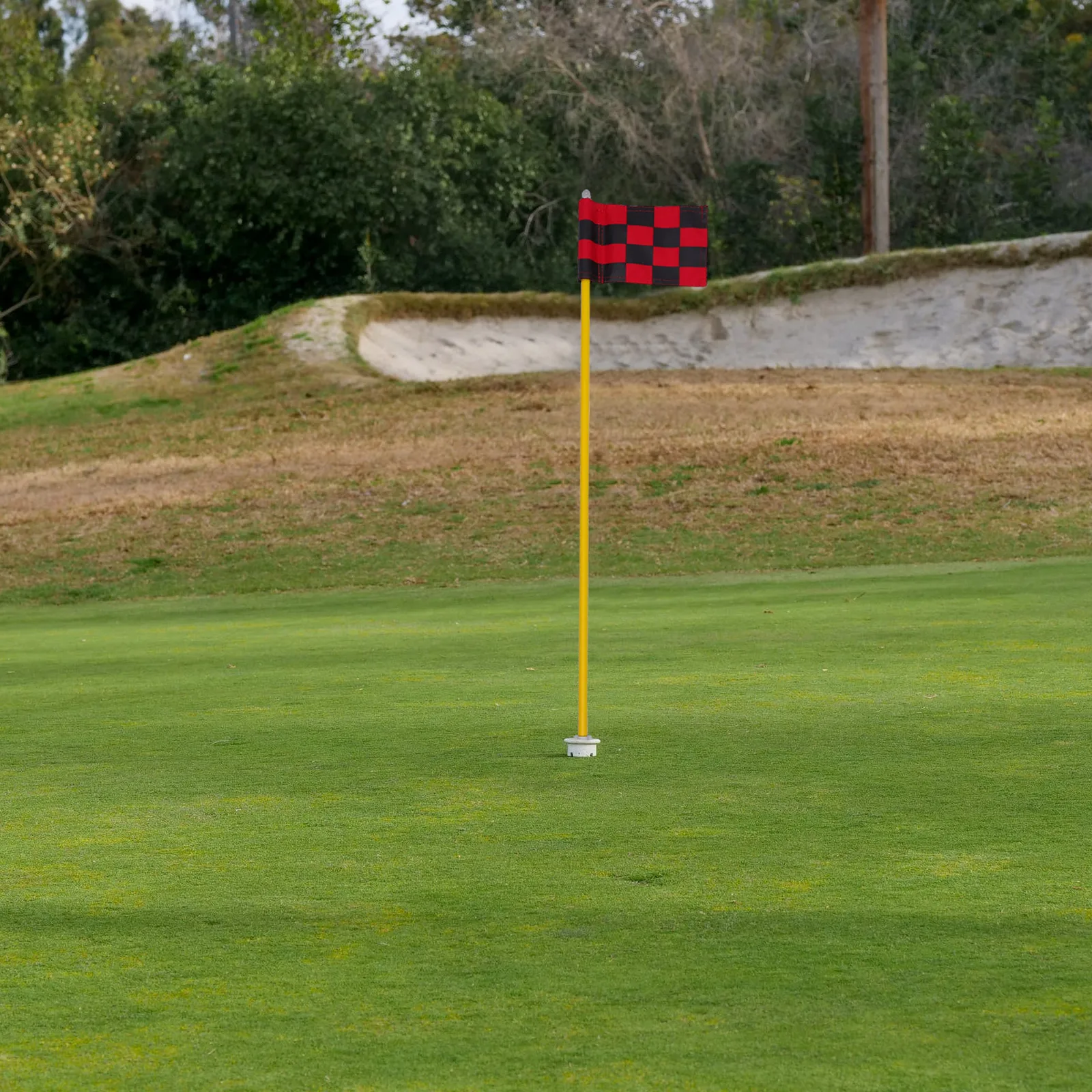 1 Set Golfs Flagstick Mini Putting Green Flag Flagpole Golfs Practice Kit
1 Set Golfs Flagstick Mini Putting Green Flag Flagpole Golfs Practice Kit