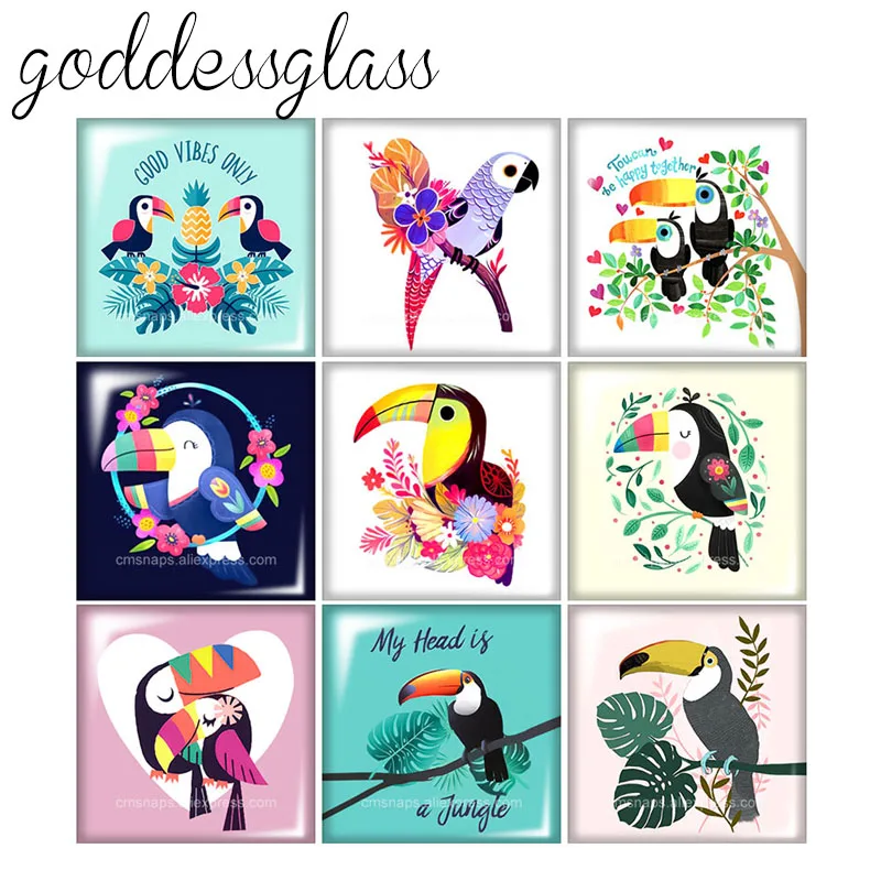Новые Мультяшные милые птицы Toucan Квадратные 10 шт. Смешанные 12 мм/20 мм/25 мм/30 мм фото стекло кабошон демонстрация плоская задняя сторона
Новые Мультяшные милые птицы Toucan Квадратные 10 шт. Смешанные 12 мм/20 мм/25 мм/30 мм фото стекло кабошон демонстрация плоская задняя сторона