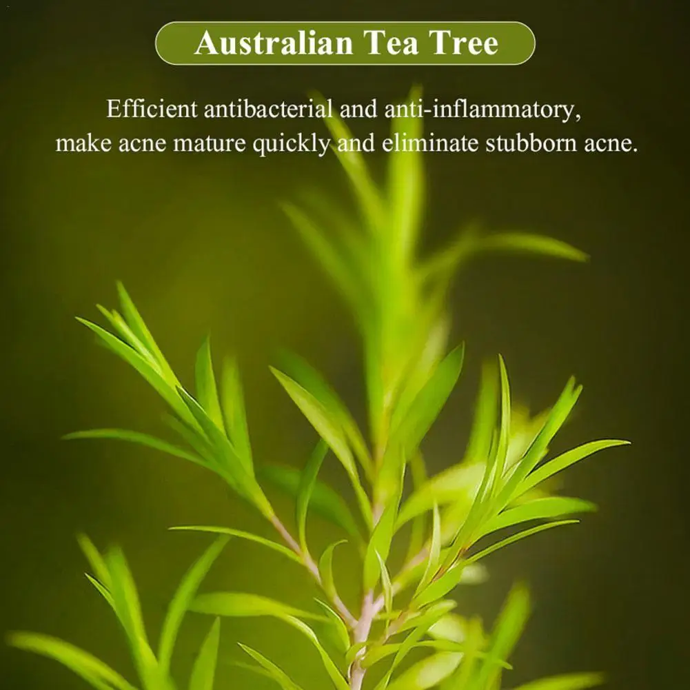 15ml Acne Treatment Face Cream Blackhead Remover Repair Oil Shrink Skin Care Control Whitening Gel Cosmetics Up Pores Make L7M8
15ml Acne Treatment Face Cream Blackhead Remover Repair Oil Shrink Skin Care Control Whitening Gel Cosmetics Up Pores Make L7M8