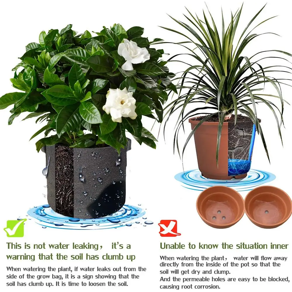 Planting Belt Plant Grow Bag Creative Practical Black Nonwoven Balcony Spring Sweet Potato Plant Bag Tomato Planting Bag
Planting Belt Plant Grow Bag Creative Practical Black Nonwoven Balcony Spring Sweet Potato Plant Bag Tomato Planting Bag