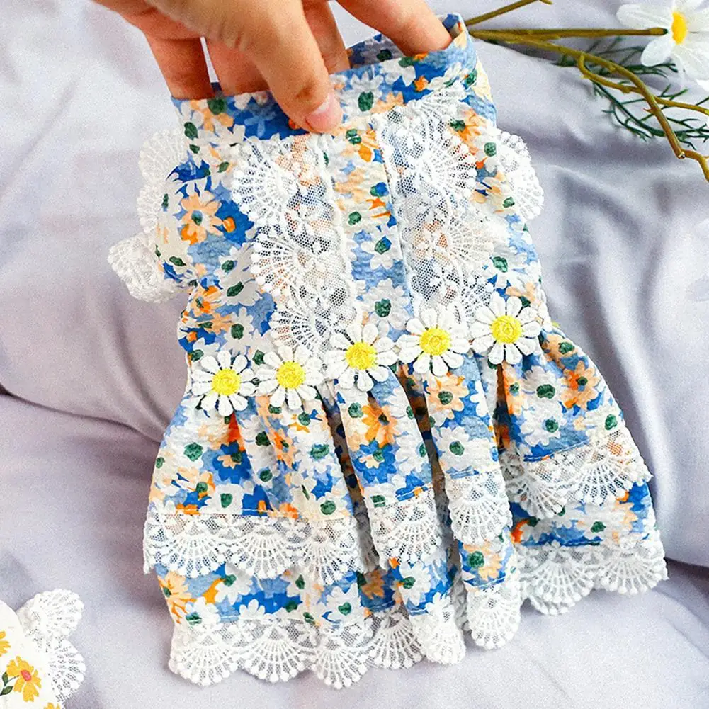 Прочное платье для питомца, товары для питомцев, юбка для питомца с кружевом, красочная одежда для принцессы, собаки, щенка
Прочное платье для питомца, товары для питомцев, юбка для питомца с кружевом, красочная одежда для принцессы, собаки, щенка