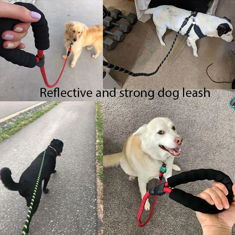 Pet Leash Reflective Strong Dog Leash 1.5M Long with Comfortable Padded Handle Heavy Duty Training Durable Nylon Rope Leashes
Pet Leash Reflective Strong Dog Leash 1.5M Long with Comfortable Padded Handle Heavy Duty Training Durable Nylon Rope Leashes