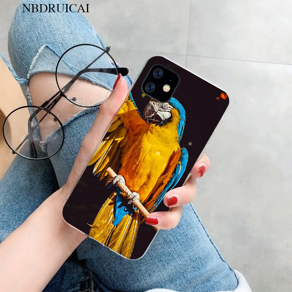 NBDRUICAI Rainbow flower Bird Ringneck Parrot Cover Soft Phone Case for iPhone 11 pro XS MAX 8 7 6 6S Plus X 5S SE XR cover
NBDRUICAI Rainbow flower Bird Ringneck Parrot Cover Soft Phone Case for iPhone 11 pro XS MAX 8 7 6 6S Plus X 5S SE XR cover