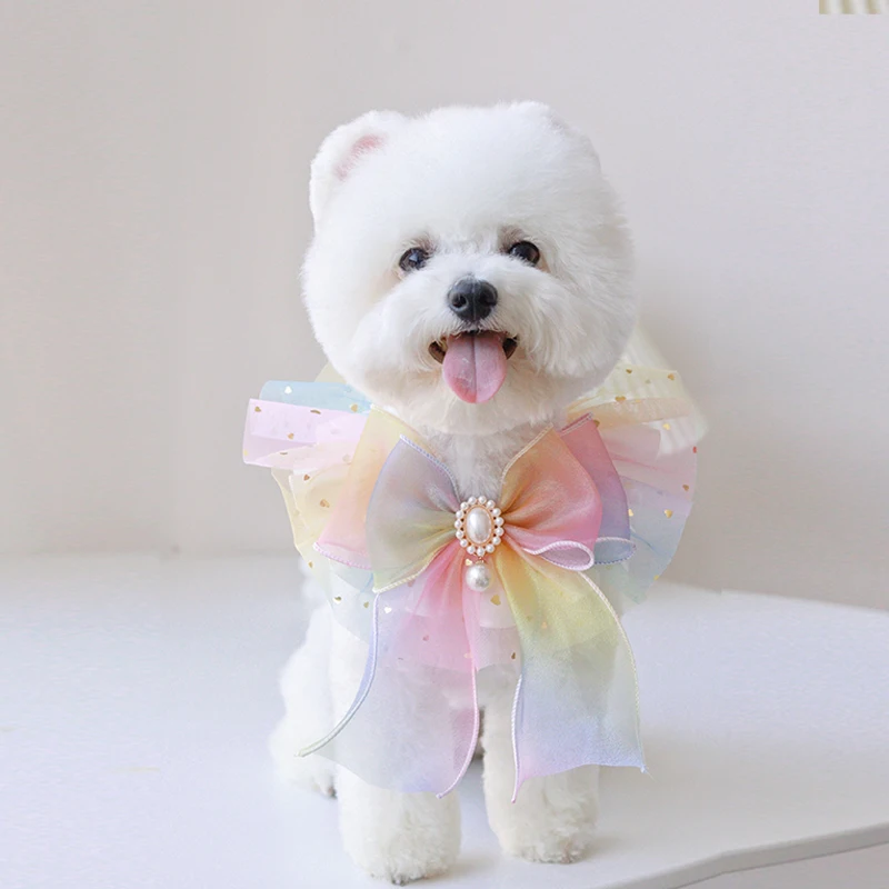 

Bling Glitter Pearl Bowknot Dog Collar Bells Organza Jeweled Dog Scarf Pastel Puppy Bows Satin Rainbow New Kitten Bowtie Shihtzu
