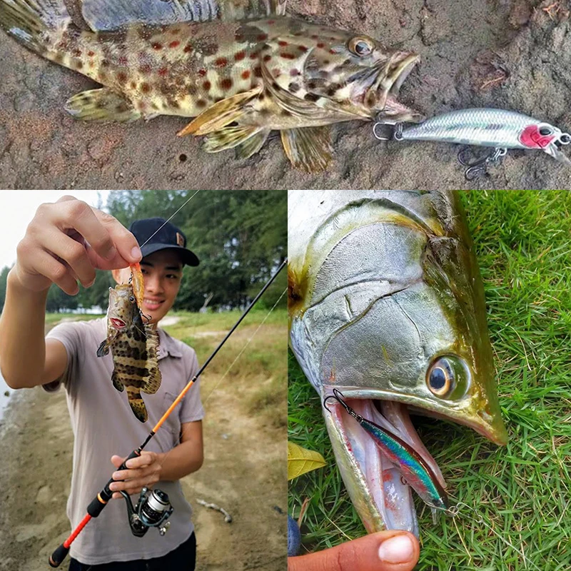 TSURINOYA Fishing Lure DW63 14PCS Sinking Minnow Jerkbait 50mm 5g Stream Trout Bass Lure Set Articial Fishing Wobblers Swimbait
TSURINOYA Fishing Lure DW63 14PCS Sinking Minnow Jerkbait 50mm 5g Stream Trout Bass Lure Set Articial Fishing Wobblers Swimbait
