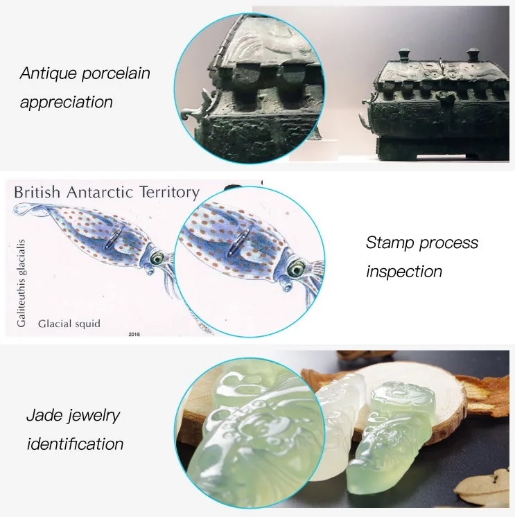 AMYGOJJ 3 In 1 Microscope TypeC Endoscope Camera Android Computer Digital Microscope for Kids
AMYGOJJ 3 In 1 Microscope TypeC Endoscope Camera Android Computer Digital Microscope for Kids