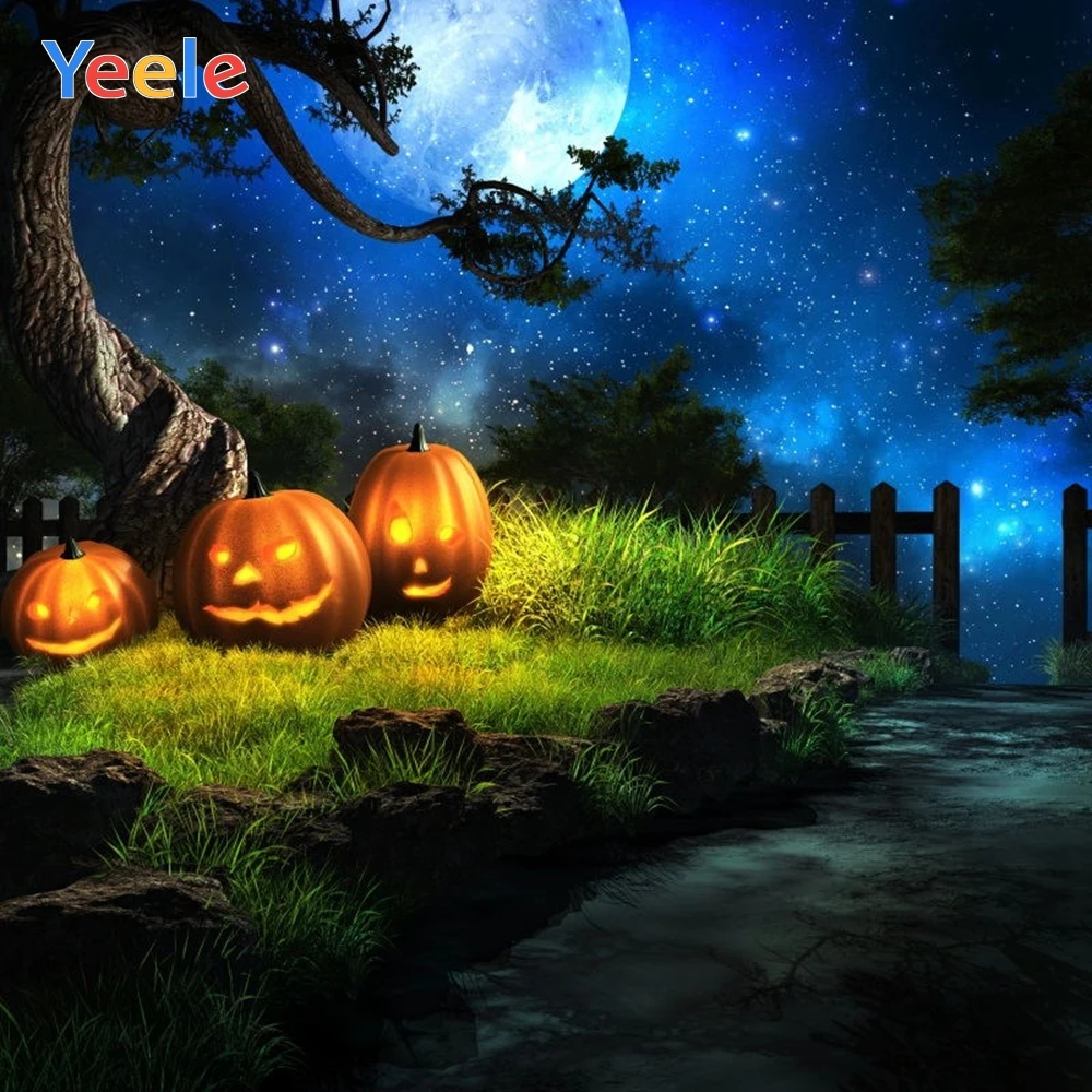 Halloween Pumpkin Lantern Moon Night Baby Portrait Backdrop Photography Backdrops Vinyl Photographic Background For Photo Studio
Halloween Pumpkin Lantern Moon Night Baby Portrait Backdrop Photography Backdrops Vinyl Photographic Background For Photo Studio