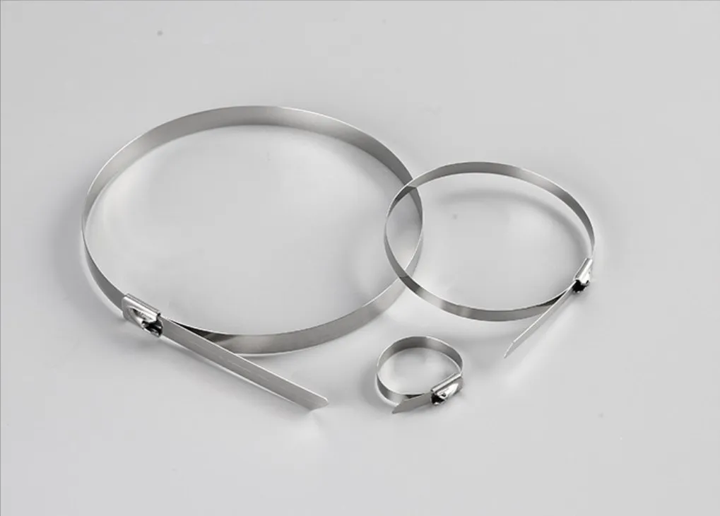 100PCS STAINLESS STEEL METAL CABLE TIES TIE ZIP WRAP EXHAUST HEAT STRAPS INDUCTION PIPE
100PCS STAINLESS STEEL METAL CABLE TIES TIE ZIP WRAP EXHAUST HEAT STRAPS INDUCTION PIPE