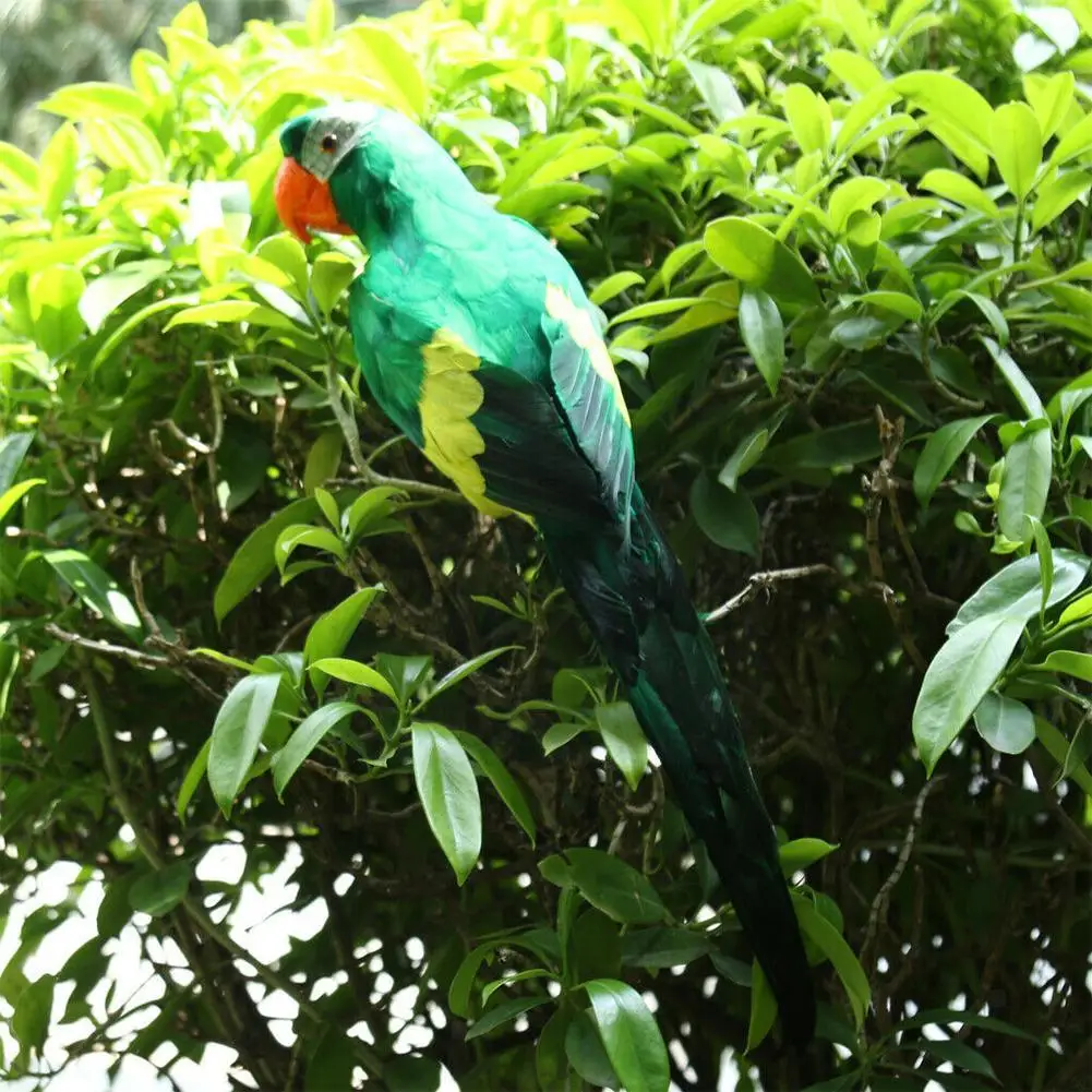 25/35cm Handmade Simulation Parrot Creativty Feather Prop Lawn Bird Animal Miniature Figurine Garden Ornament Decoration Bi W4H7
25/35cm Handmade Simulation Parrot Creativty Feather Prop Lawn Bird Animal Miniature Figurine Garden Ornament Decoration Bi W4H7