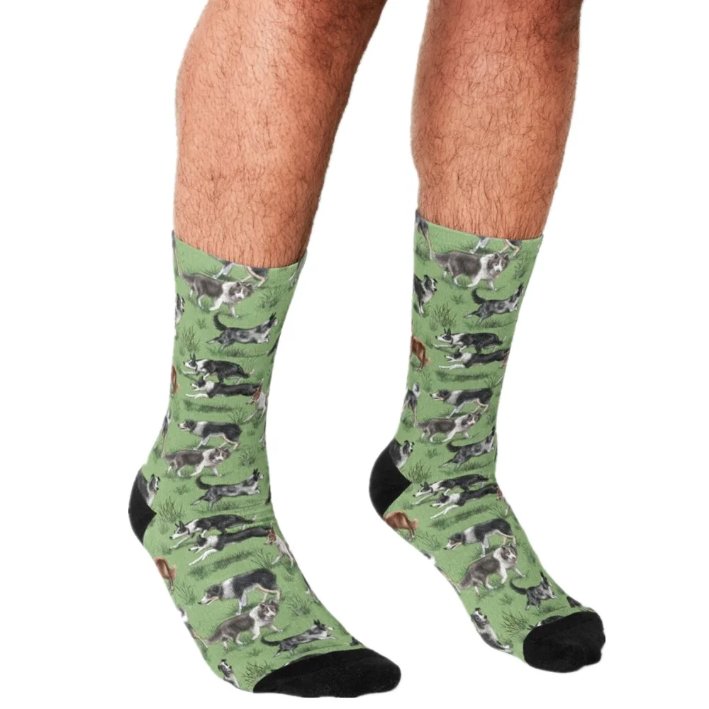 2021 Funny Men's socks Tiger garden green Pattern Printed hip hop Men Happy Socks cute boys street style Crazy Socks for men
2021 Funny Men's socks Tiger garden green Pattern Printed hip hop Men Happy Socks cute boys street style Crazy Socks for men