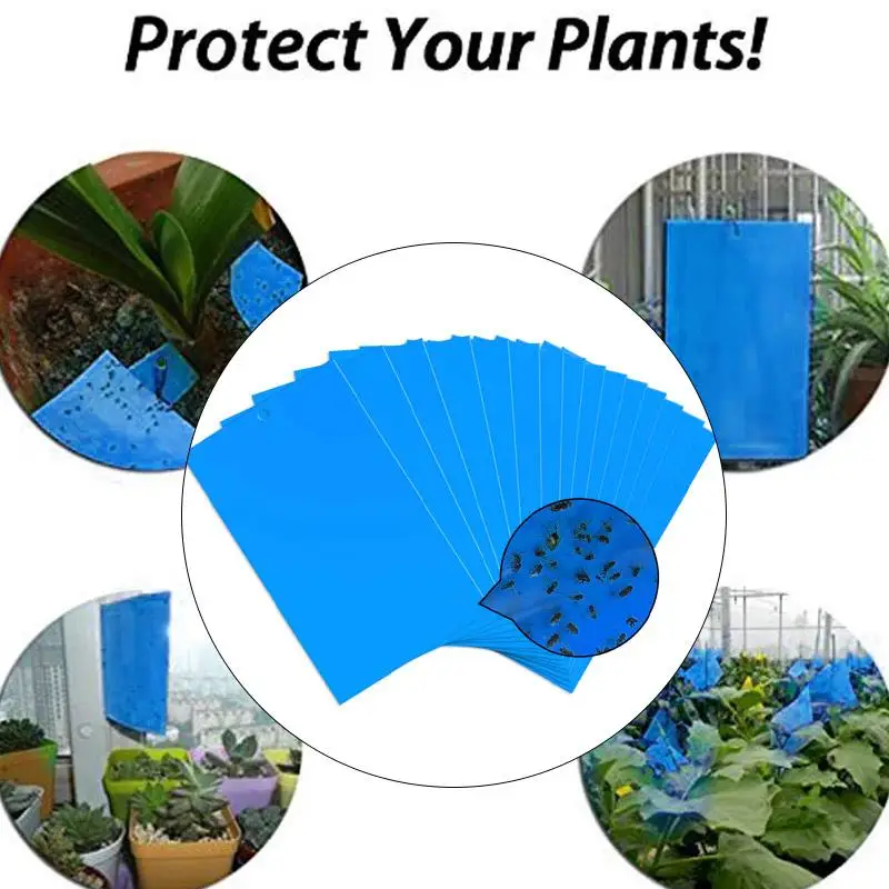 Bugs Sticky Board 20pcs Double Side Economic Pest Killer Strong Flies Traps Yard GnatsLeaf Catching Aphid Insects Orchard
Bugs Sticky Board 20pcs Double Side Economic Pest Killer Strong Flies Traps Yard GnatsLeaf Catching Aphid Insects Orchard