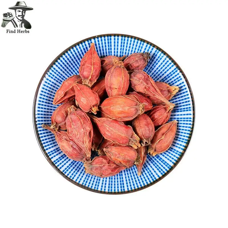 Zhi Zi, Shan Zhi, Fructus Gardeniae, Cape Jasmine Fruit 
Zhi Zi, Shan Zhi, Fructus Gardeniae, Cape Jasmine Fruit