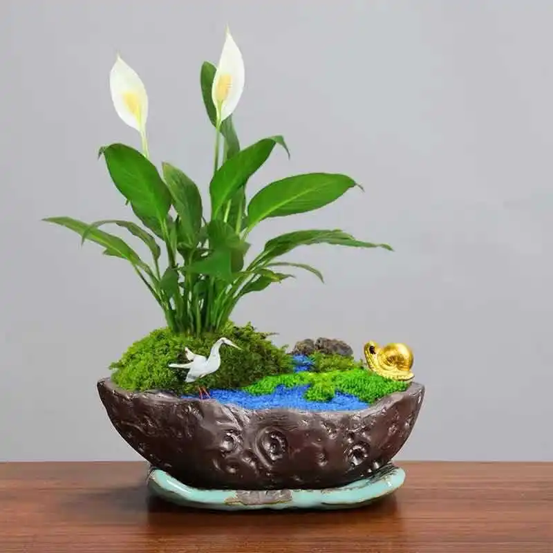 Настольный цветочный горшок Ландшафтный микро бонсай для пейзажа креативная