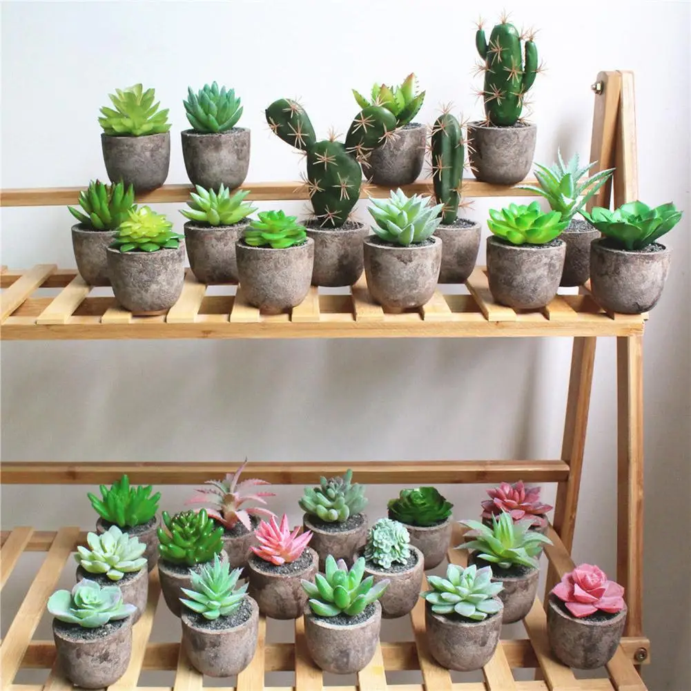 4Pcs/Set Potted Artificial succulent plants Bonsai set fake Flower vase Decorative Flower Home Balcony Decoration
4Pcs/Set Potted Artificial succulent plants Bonsai set fake Flower vase Decorative Flower Home Balcony Decoration