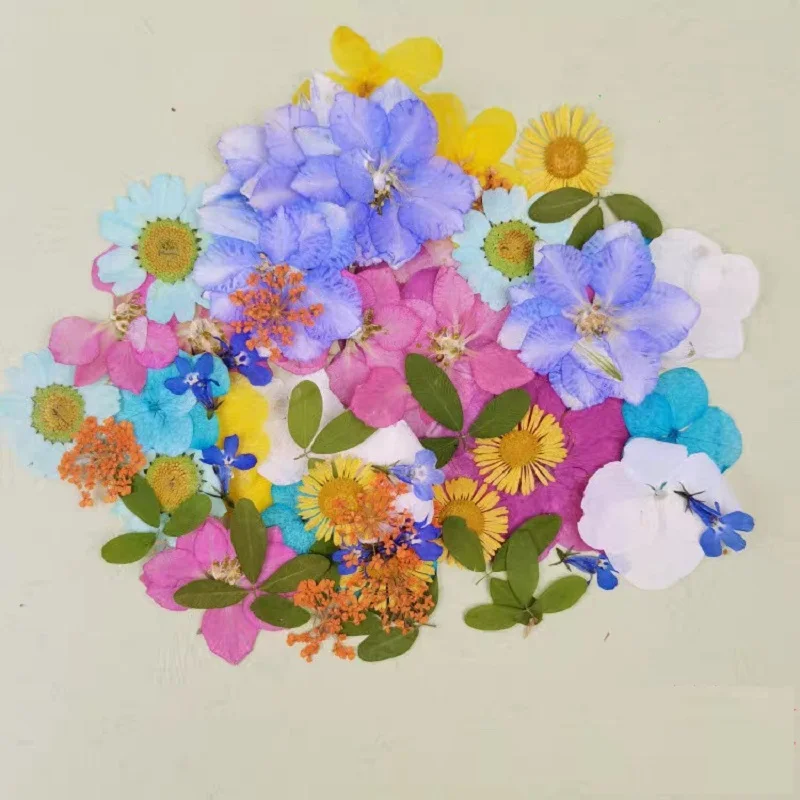 55pcs Assorted Pressed Dried Flowers Leaf Plant Herbarium For Make up Jewelry Pendant Ring Earrings Flower Making Accessories
55pcs Assorted Pressed Dried Flowers Leaf Plant Herbarium For Make up Jewelry Pendant Ring Earrings Flower Making Accessories