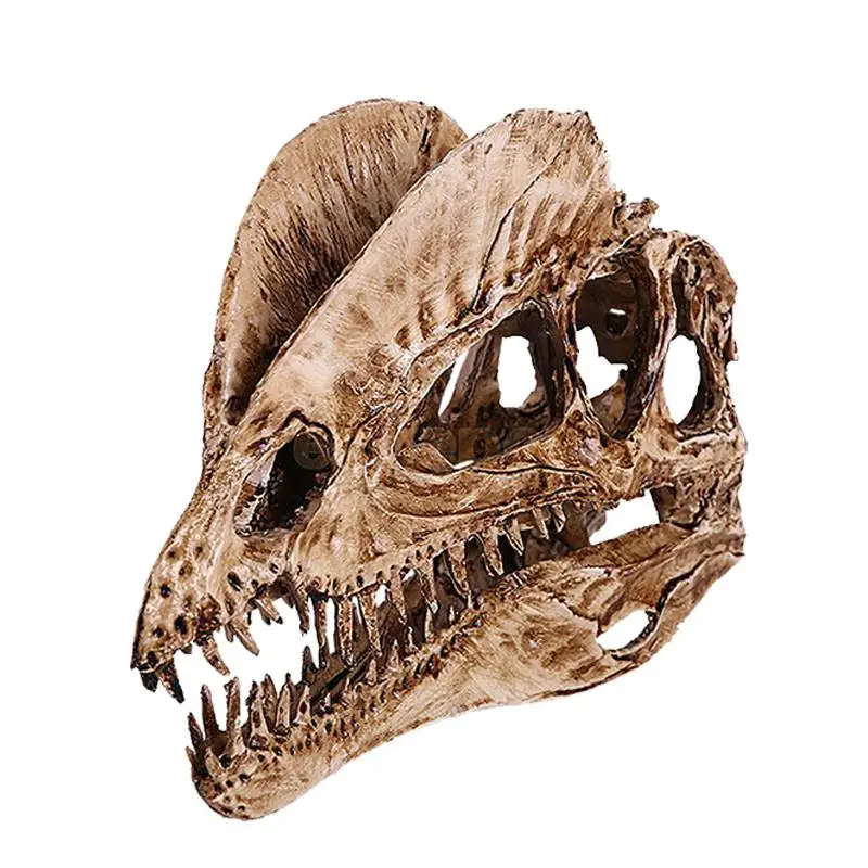rs Dinosaur Skeleton Model Decor Dinosaur Skull Simulation Fossil Jurassic Home Resin Garden Decals Decoration
rs Dinosaur Skeleton Model Decor Dinosaur Skull Simulation Fossil Jurassic Home Resin Garden Decals Decoration