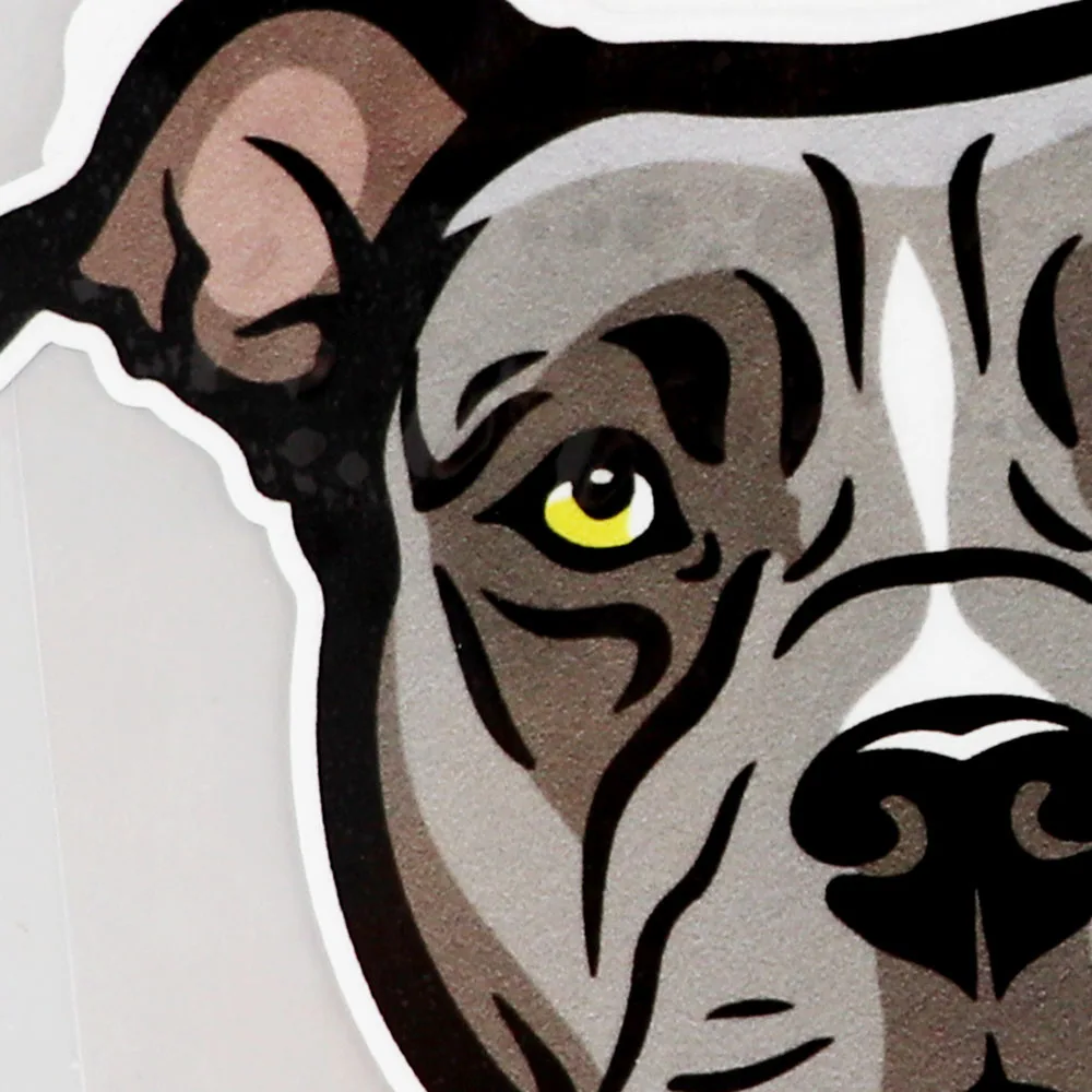 YJZT 14.2CM10.8CM Decal Funny Pet Dog Head Car Sticker PVC 11C-0141
YJZT 14.2CM10.8CM Decal Funny Pet Dog Head Car Sticker PVC 11C-0141