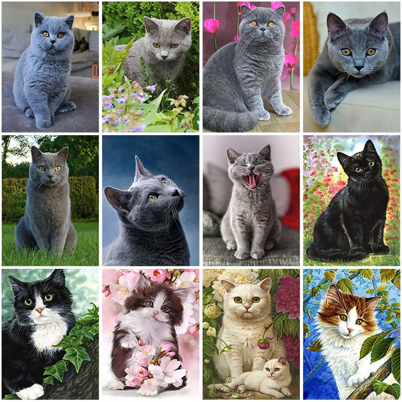 Animal DIY 5D Diamond Painting Cat Diamond Embroidery Cross Stitch Kits Full Round Resin Rhinestone Manual Art Gift Home Decor
Animal DIY 5D Diamond Painting Cat Diamond Embroidery Cross Stitch Kits Full Round Resin Rhinestone Manual Art Gift Home Decor