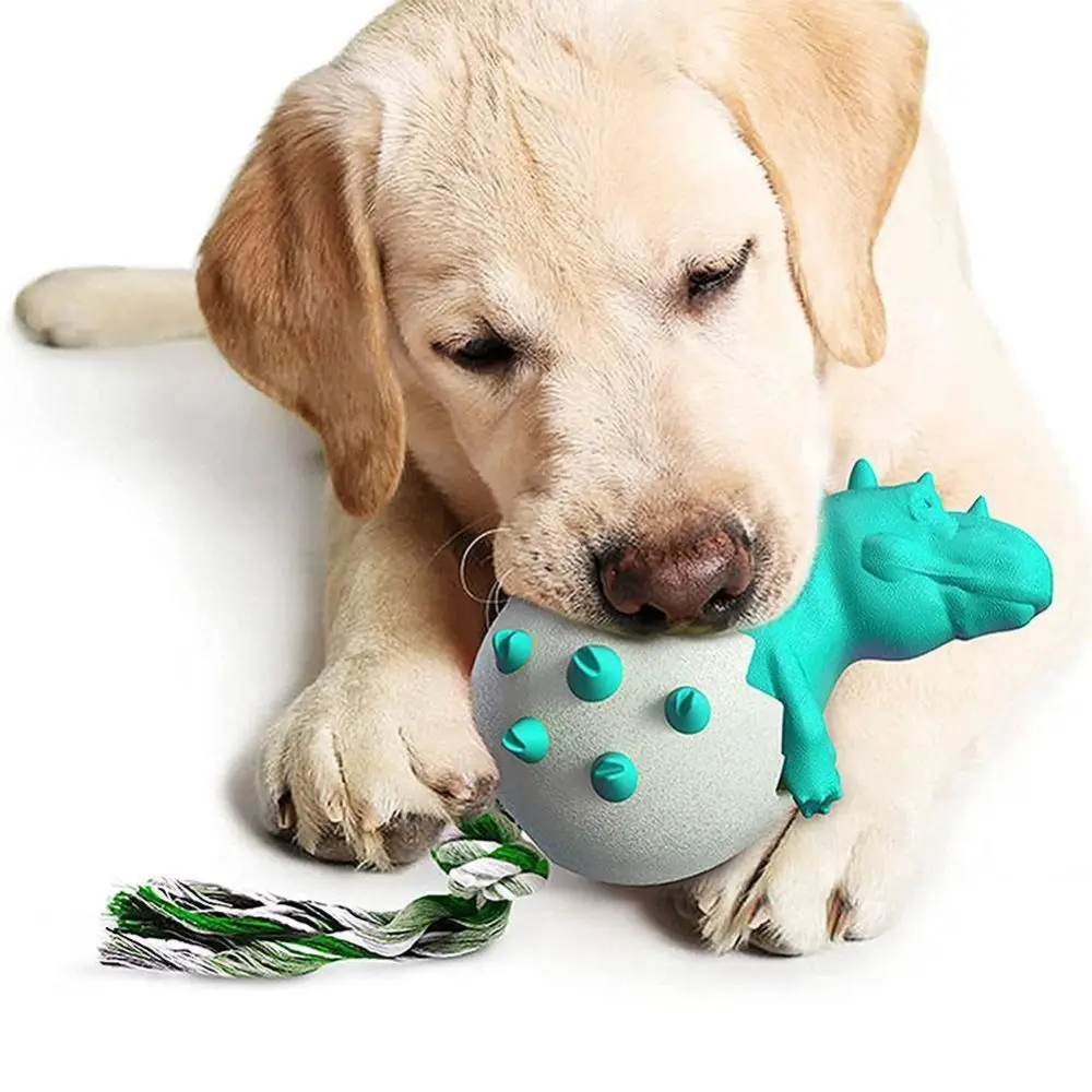 Interactive Dog Toothbrush Chew Toy Dinosaur Egg Small Medium Large Dogs Molar Tooth Cleaning Toys Dog Accessories Dropshipping
Interactive Dog Toothbrush Chew Toy Dinosaur Egg Small Medium Large Dogs Molar Tooth Cleaning Toys Dog Accessories Dropshipping