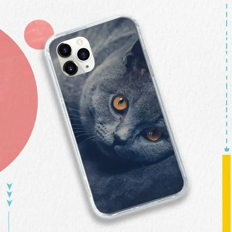 cat animal Webbedepp British Shorthair Phone Case for iPhone 11 12 pro XS MAX 8 7 6 6S Plus X 5S SE 2020 XR
cat animal Webbedepp British Shorthair Phone Case for iPhone 11 12 pro XS MAX 8 7 6 6S Plus X 5S SE 2020 XR